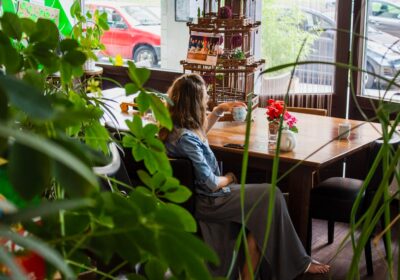 Descoperă puterea plantelor medicinale: Cum să îți creezi propriul spațiu de plante aromatice și medicinale