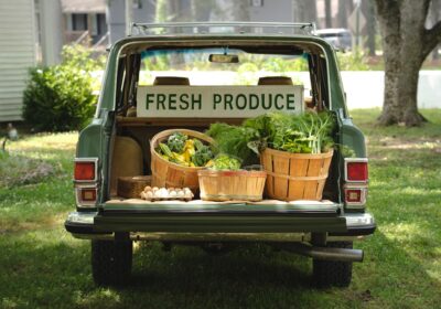 Cum să Practici Agricultura Ecologică: Beneficii și Tehnici Eficiente
