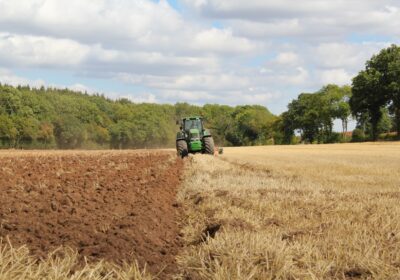 Beneficiile și Provocările Agriculturii Hidroponice: Ghid pentru Începători
