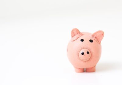 Ghid pentru Gestionarea Financiară a Fermei: Bugete și Investiții