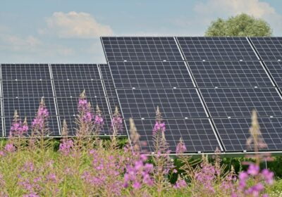 Beneficiile utilizării energiei regenerabile în agricultură