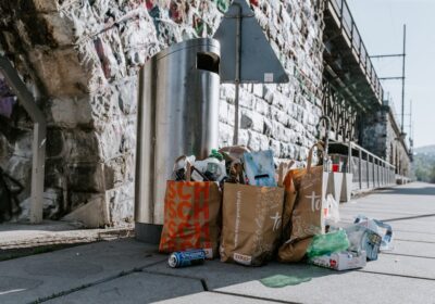 Tehnici de compostare pentru grădina ta