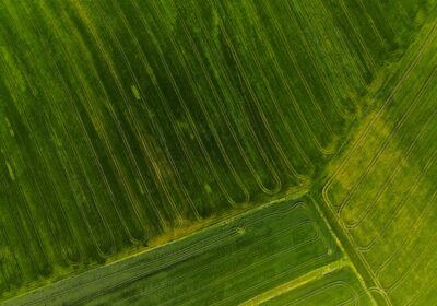 Agricultura conservativă: metode de implementare