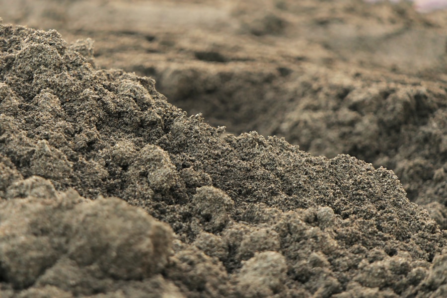 Photo "Why it is essential to monitor the soil condition on the farm"