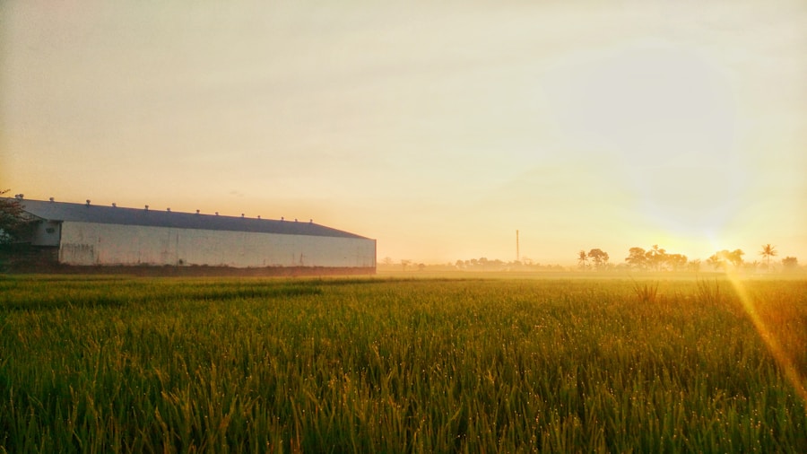 Photo "How to optimize your production costs in agriculture"