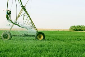 Photo "Why you should improve your agricultural product distribution networks"