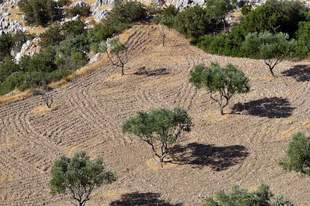 Photo Healthy soil