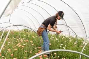 Photo Regenerative Farming