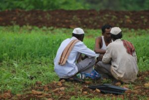Photo "How to collaborate effectively with other farmers in your community"
