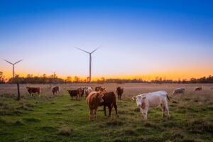 Photo "Why use renewable energies on the farm"