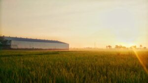 Photo "How to improve your agricultural product storage systems"