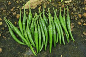 Photo Crop rotation