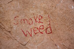 Photo weed control