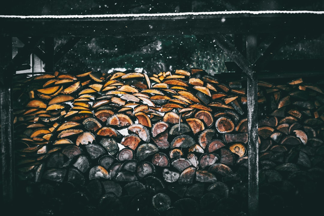 Photo preserving potatoes