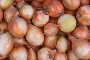 Photo onion storage