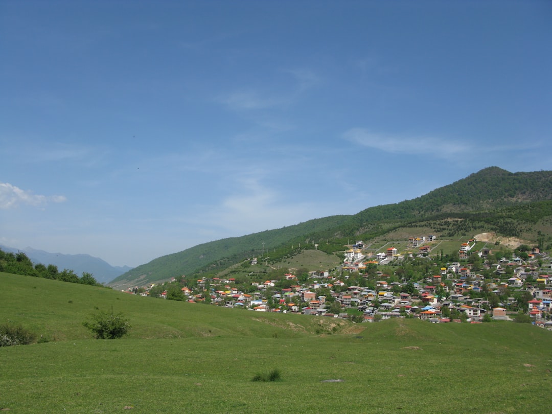 Photo varza