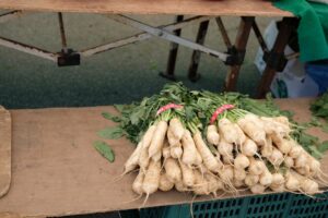Photo dăunătorii din depozitul de legume
