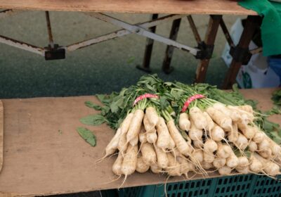 Cum să scapi de dăunătorii din depozitul de legume
