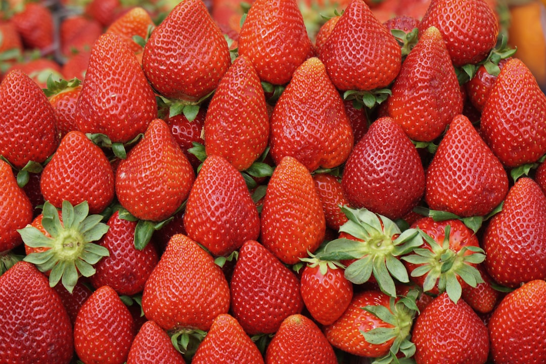 Photo protect strawberries from snails