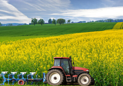 Adjuvanții în agricultură: rol esențial în eficientizarea tratamentelor fitosanitare