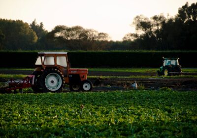 Agricultura modernă vs. tradițională: diferențe și semnificație