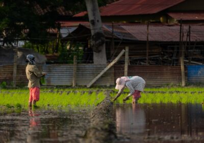 Practici agricole prietenoase cu mediul: Ghid complet