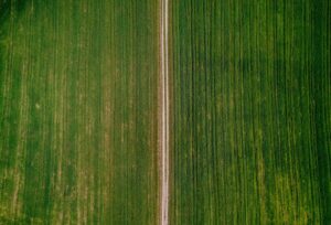 Photo precision agriculture