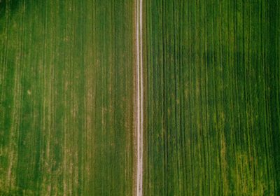 Beneficiile agriculturii de precizie