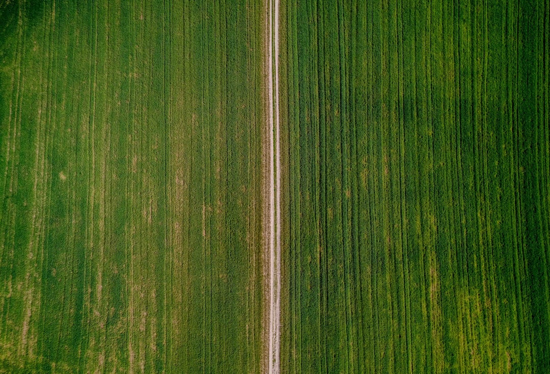 Photo precision agriculture