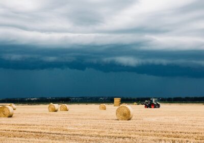 Impactul vremii extreme asupra agriculturii