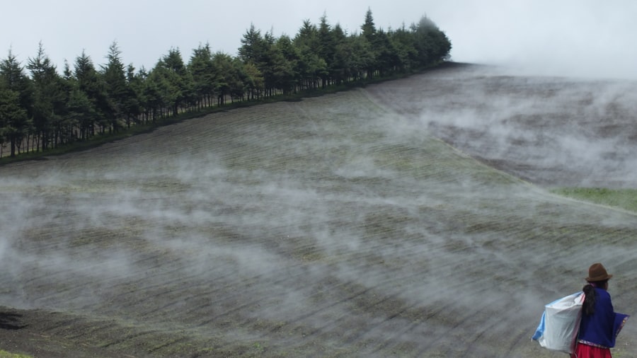 Photo extreme weather agriculture
