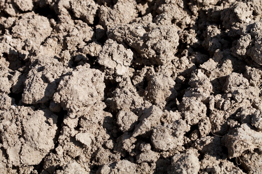 soil minimum tillage