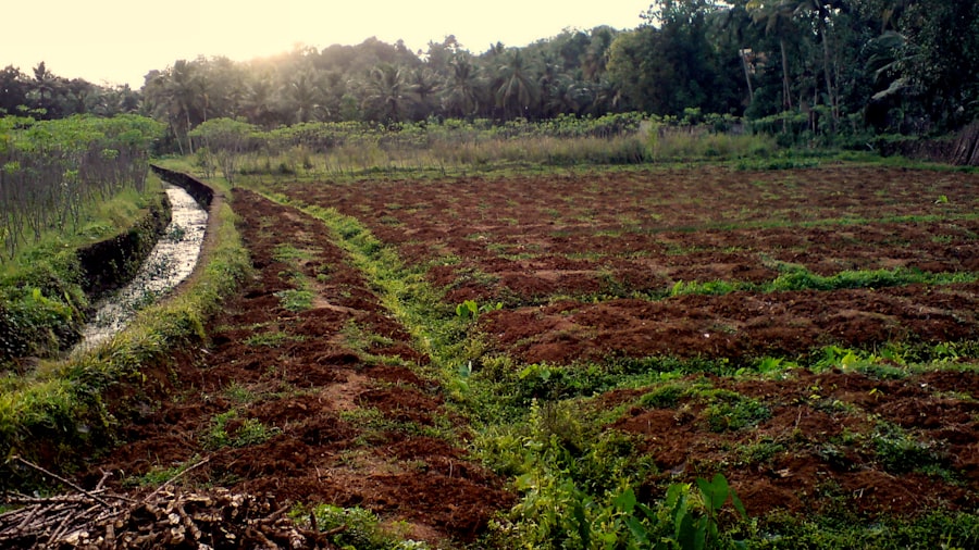 agricultural planning