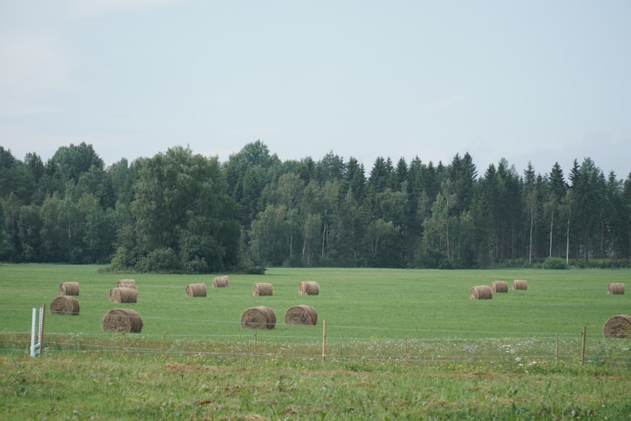agricultural calendar