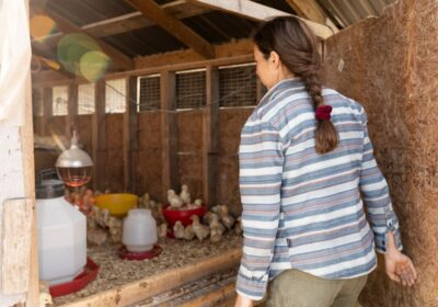 Pași pentru a transforma ferma într-un model durabil