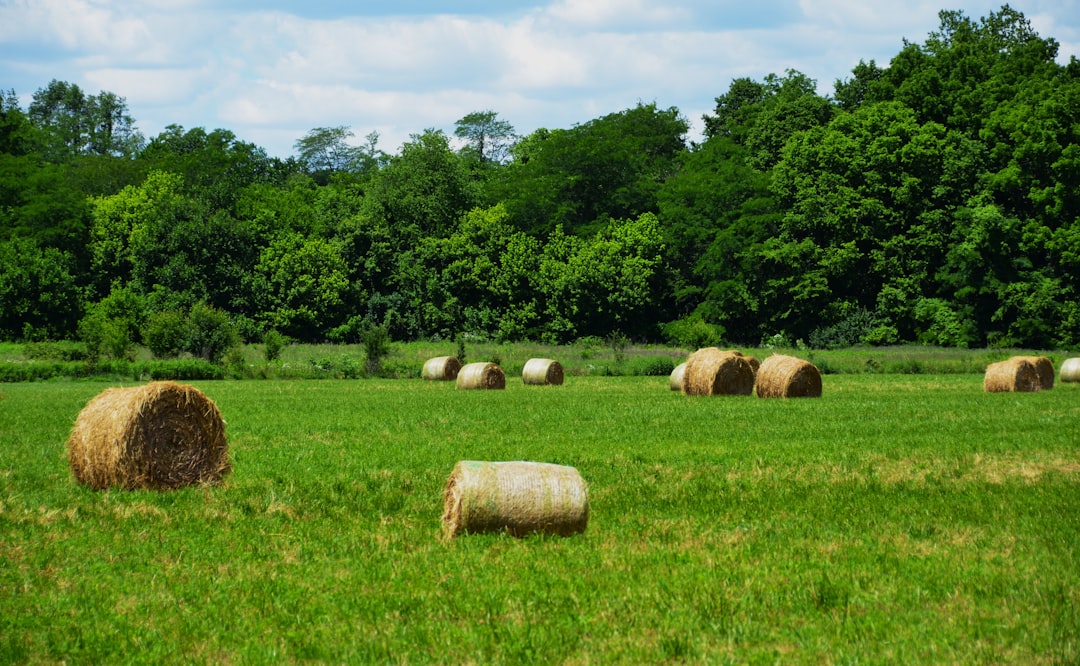 Photo agricultural calendar