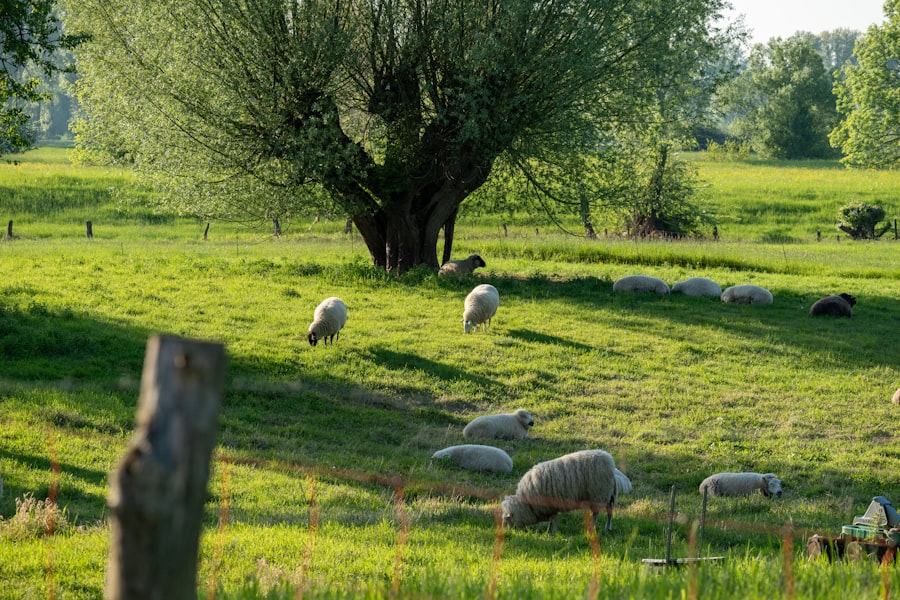 Photo agricultural calendar