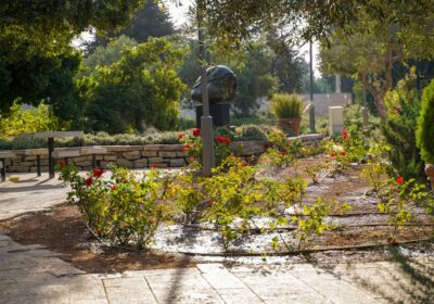 Cum să dezvolți un sistem de irigații sustenabil