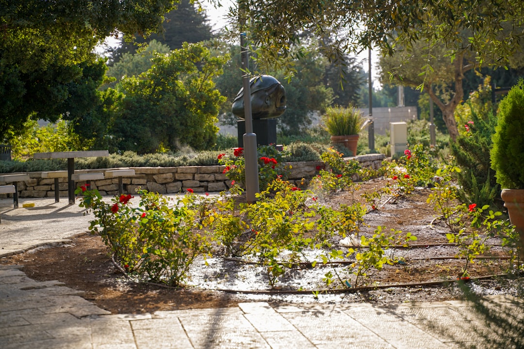 Photo irrigation system