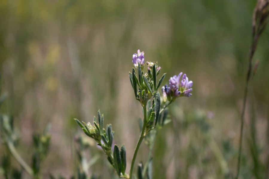 Photo erosion control