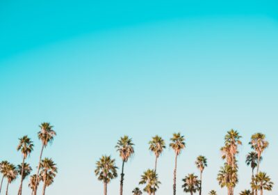 Cum să alegi culturile potrivite pentru solul tău