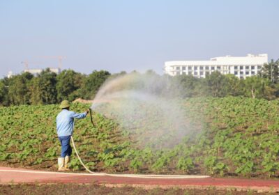 Cum să reduci consumul de pesticide