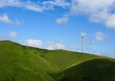 Cum să folosești energii regenerabile în agricultură