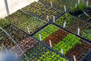 Photo Regenerative agriculture