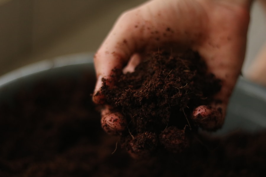 Photo soil minimum tillage