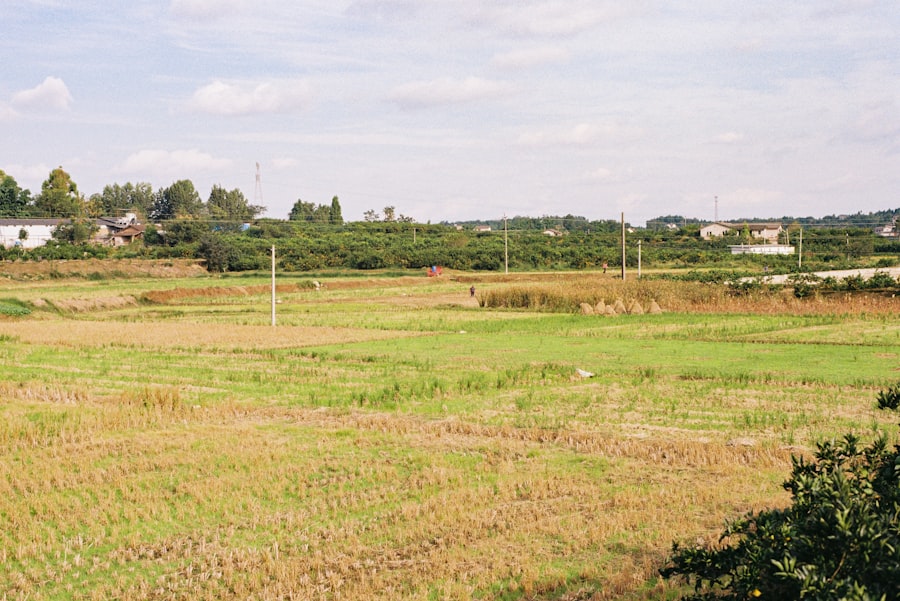 agricultural success