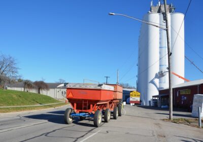 Valorificarea producției agricole: strategii de maximizare a profitului
