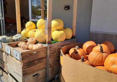 Cum să-ți organizezi recolta pentru vânzare directă