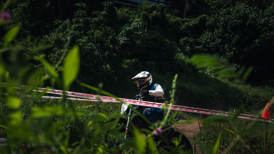 Photo protection of soil