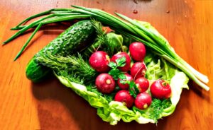 Photo cultivate vegetables without pesticides